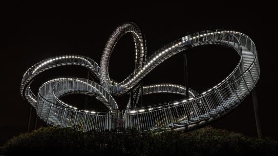 Tiger & Turtle