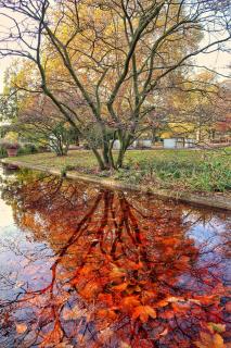 Herbst