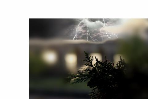 Zweig Spinnennetz Gewitter