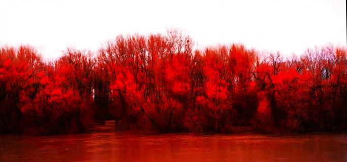 Rhein bei Nackenheim