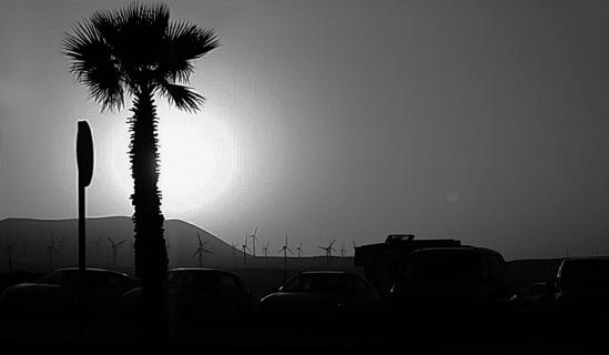 Tenerife in the backlight