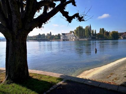 Bodensee bei Konstanz