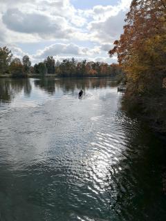 Donau an der Friedrichsau