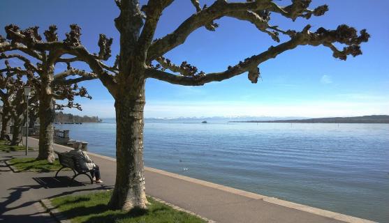 Uferpromenade 