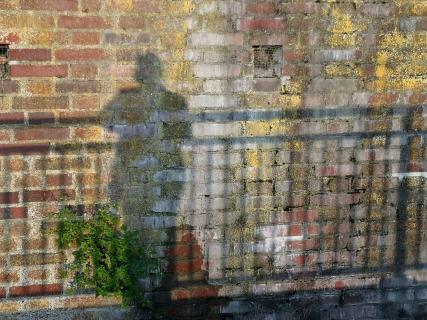 Shadow on the wall