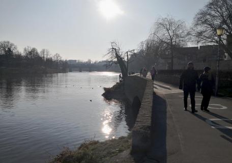 Donau bei Ulm