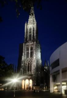 Ulmer Münster bei Nacht