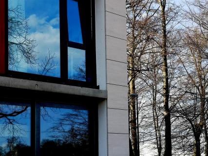 Mondrianische Strukturen in der Natur