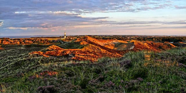 Sylt