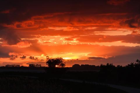 Feuerhimmel