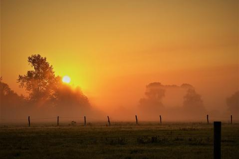 Sonnenaufgang im Fuhsetal