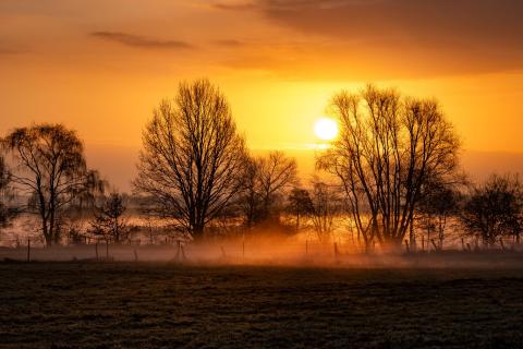 Sonnenaufgang im Fuhsetal