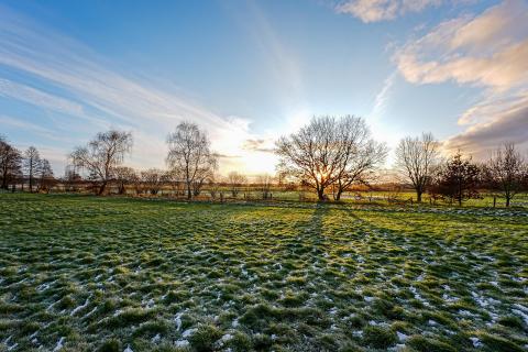 Wintermorgen