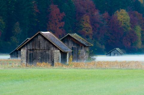 Herbstnebel