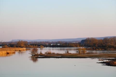Vogelinsel Altmühlsee