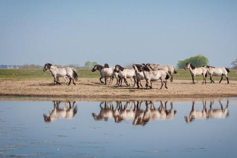 Der Weg zum Wasser