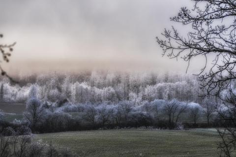 Taunus Raureif und Hochnebel