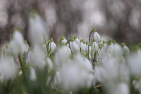 Frühling!