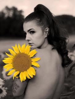 Sonnenblumen Women