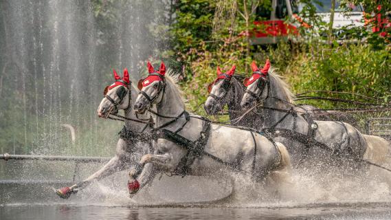 Sprung ins tiefe Wasser