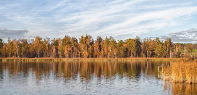 Katzensee. Herbst. Sonne