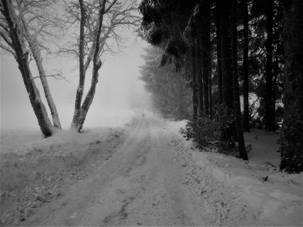 Winterwonderland im Vogtland