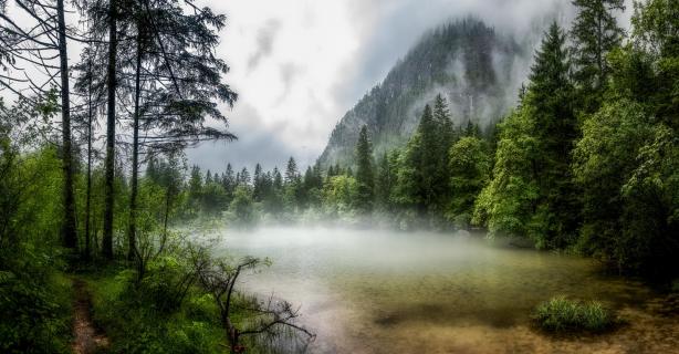 Koppenwinkelsee bei Nebel