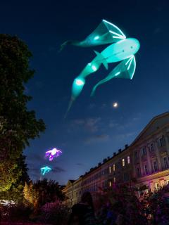 Floating Dragons