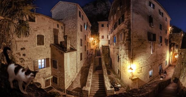 Kotor - Panorama mit Katze