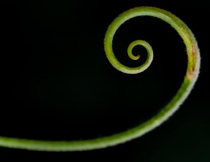 Spirale