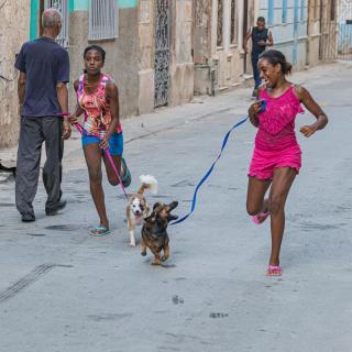 Amores Perros