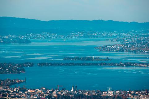 Blick auf den Zürichsee