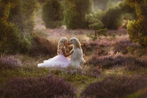 die Liebe zum Tier 