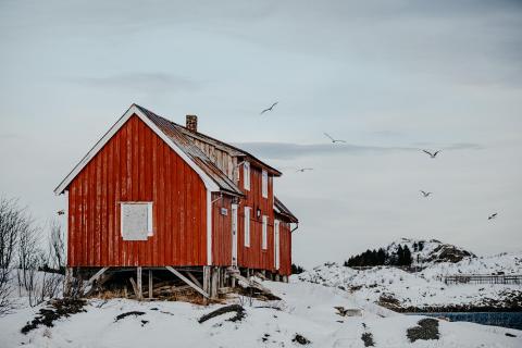 Lofoten Fischerhütte