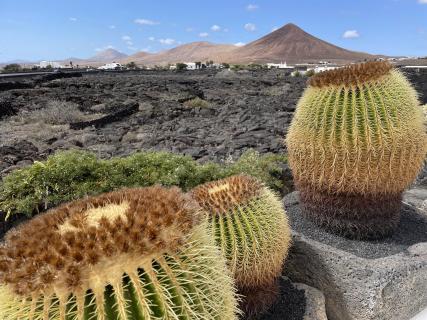 Lanzarote 2021