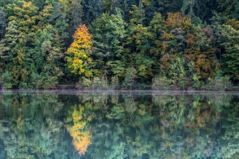 Herbst