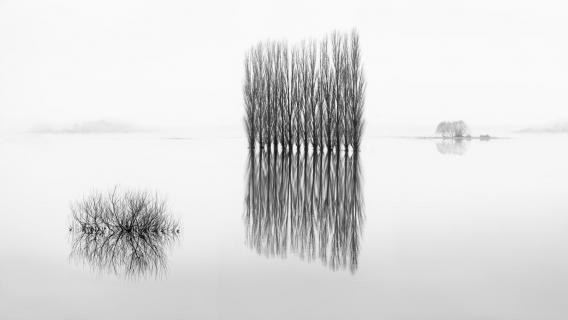 flooded Elbe 523