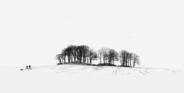 Wettrennen zu den Bäumen im Feld