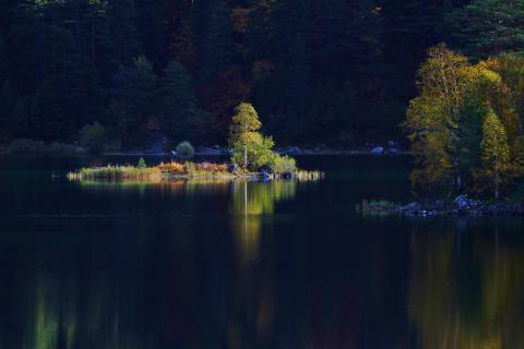 Insel im Herbstlichti