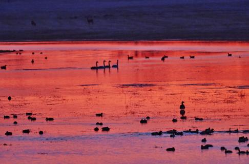 Morgenrot an der Sude 17