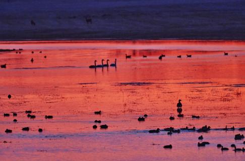 Morgenrot an der Sude 17