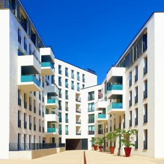 architec gruen weiss 85 