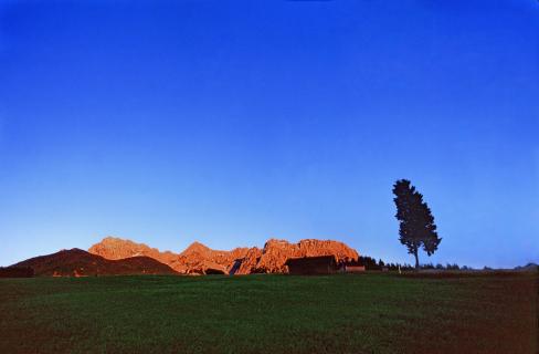 Karwendel with tree