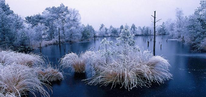 Piezmoor Blick vom Steg