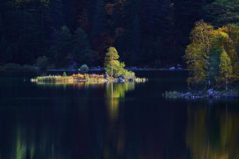 isle in autumn light