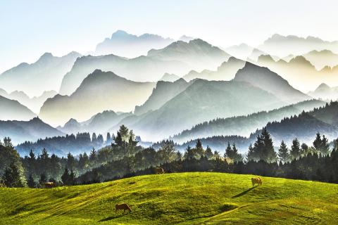  Gschwandtner mountain abstract 