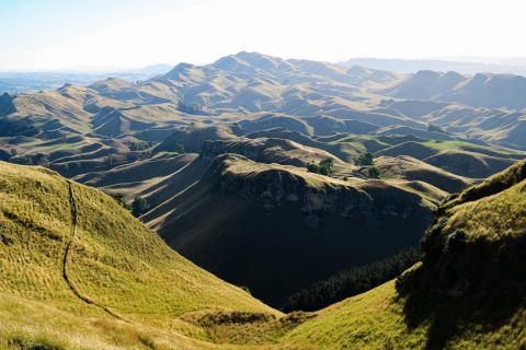 Aussicht von dem Te Mata Peak 