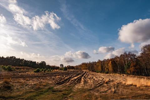 Wahner Heide