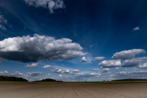 open range