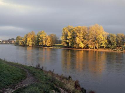 An der Elbe